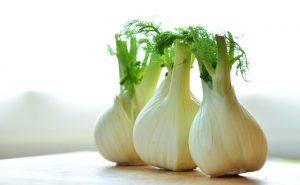 fenouil contre les coliques de bébé