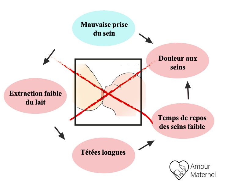 prise du sein