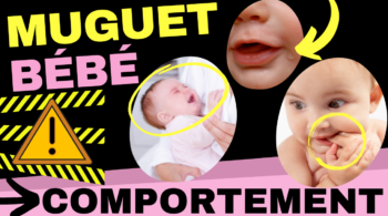 Prise De Poids Bebe Allaite Amour Maternel