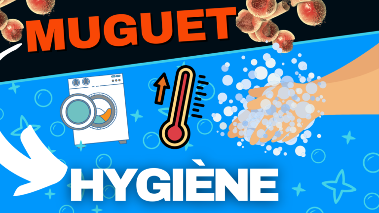 candidose mammaire hygiène