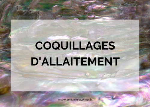 coquillage allaitement