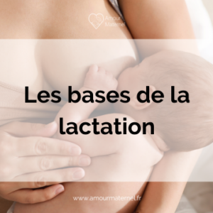 Comprendre les bases de la lactation pour un allaitement épanoui
