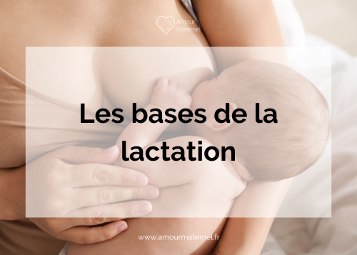 lactation