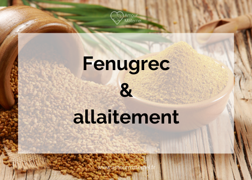 Fénugrec allaitement